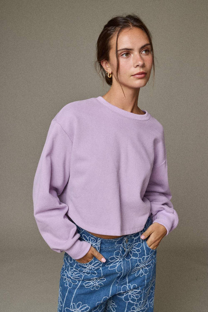 Women's Sweaters - Back Bow Long Sleeve Knit Sweater - - Cultured Cloths Apparel